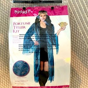 Fortune teller Halloween costume